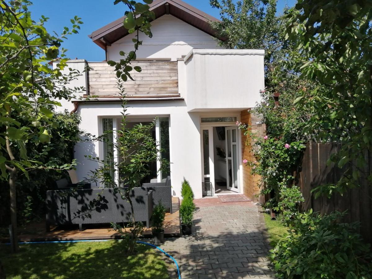Casa Scheiana Bed and Breakfast Braşov Buitenkant foto