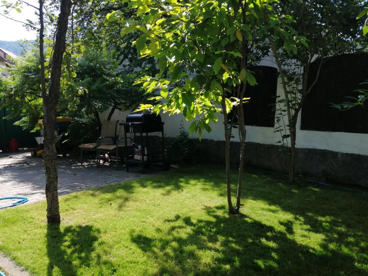 Casa Scheiana Bed and Breakfast Braşov Buitenkant foto