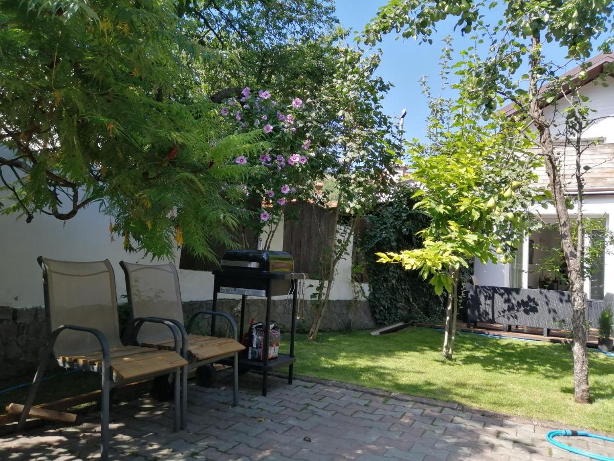 Casa Scheiana Bed and Breakfast Braşov Buitenkant foto