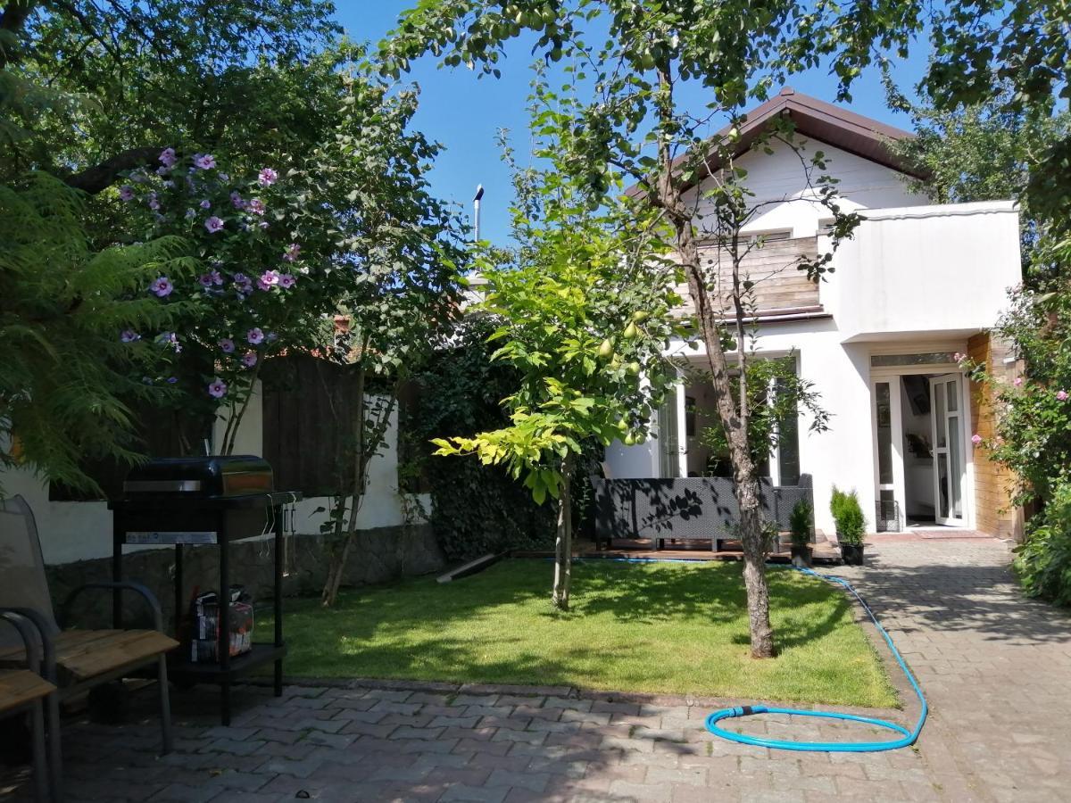 Casa Scheiana Bed and Breakfast Braşov Buitenkant foto