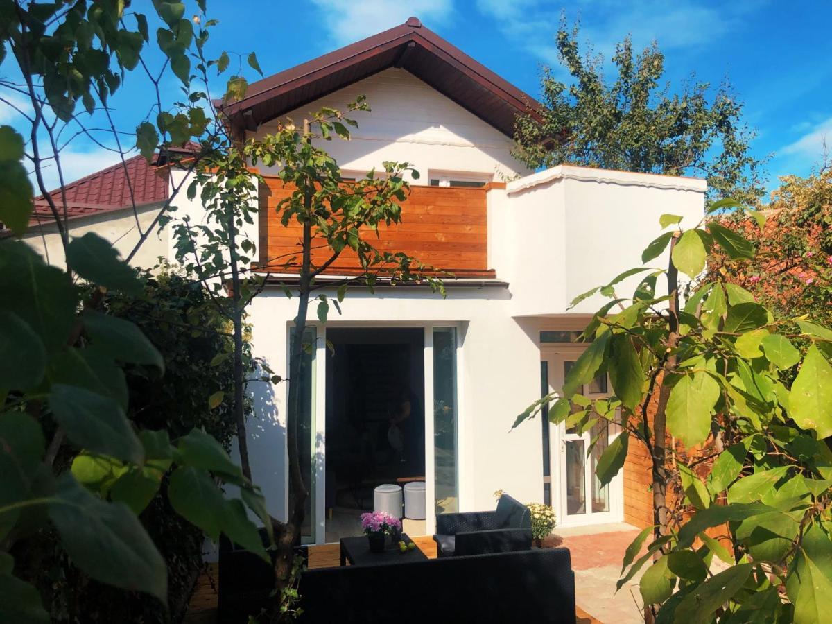 Casa Scheiana Bed and Breakfast Braşov Buitenkant foto