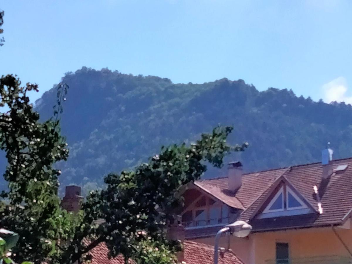 Casa Scheiana Bed and Breakfast Braşov Buitenkant foto