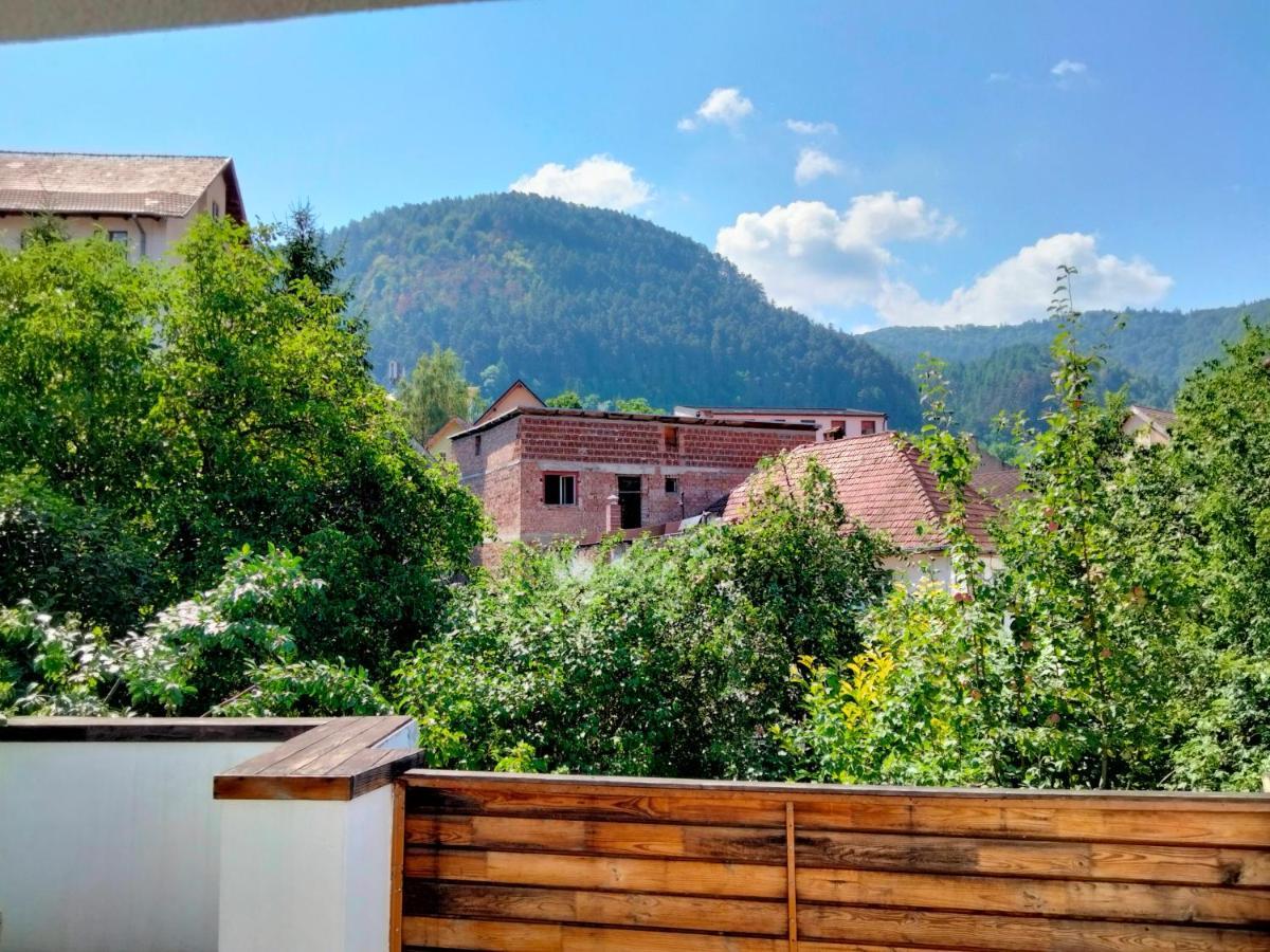 Casa Scheiana Bed and Breakfast Braşov Buitenkant foto