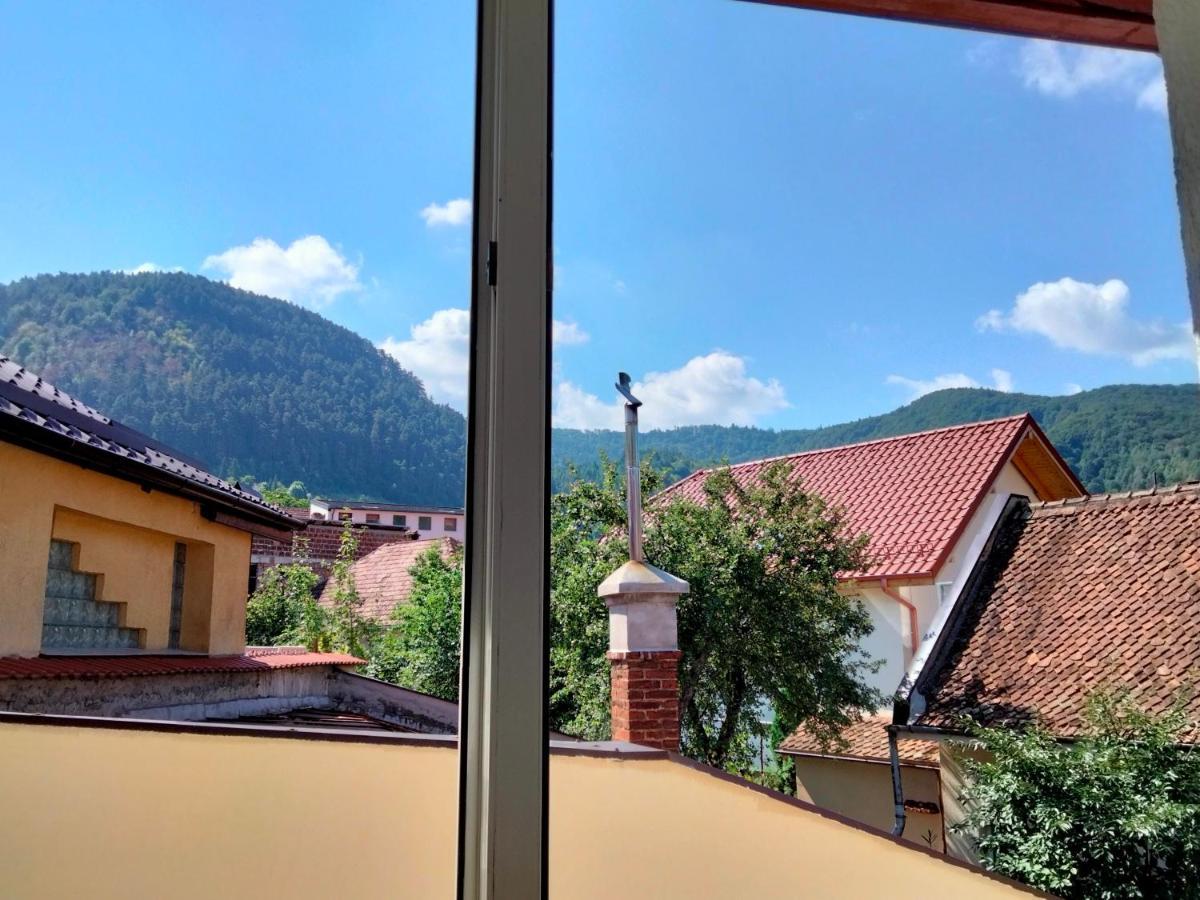 Casa Scheiana Bed and Breakfast Braşov Buitenkant foto