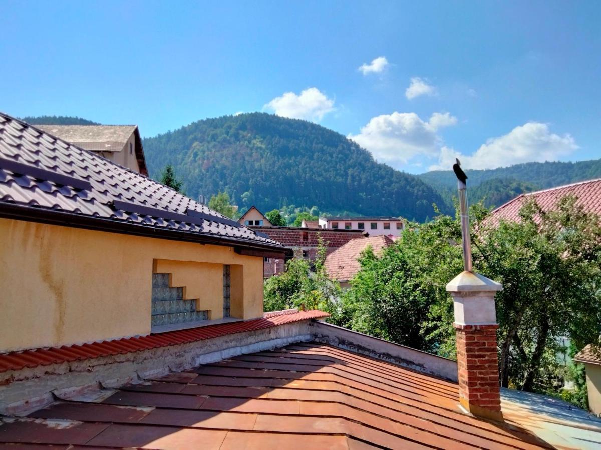Casa Scheiana Bed and Breakfast Braşov Buitenkant foto