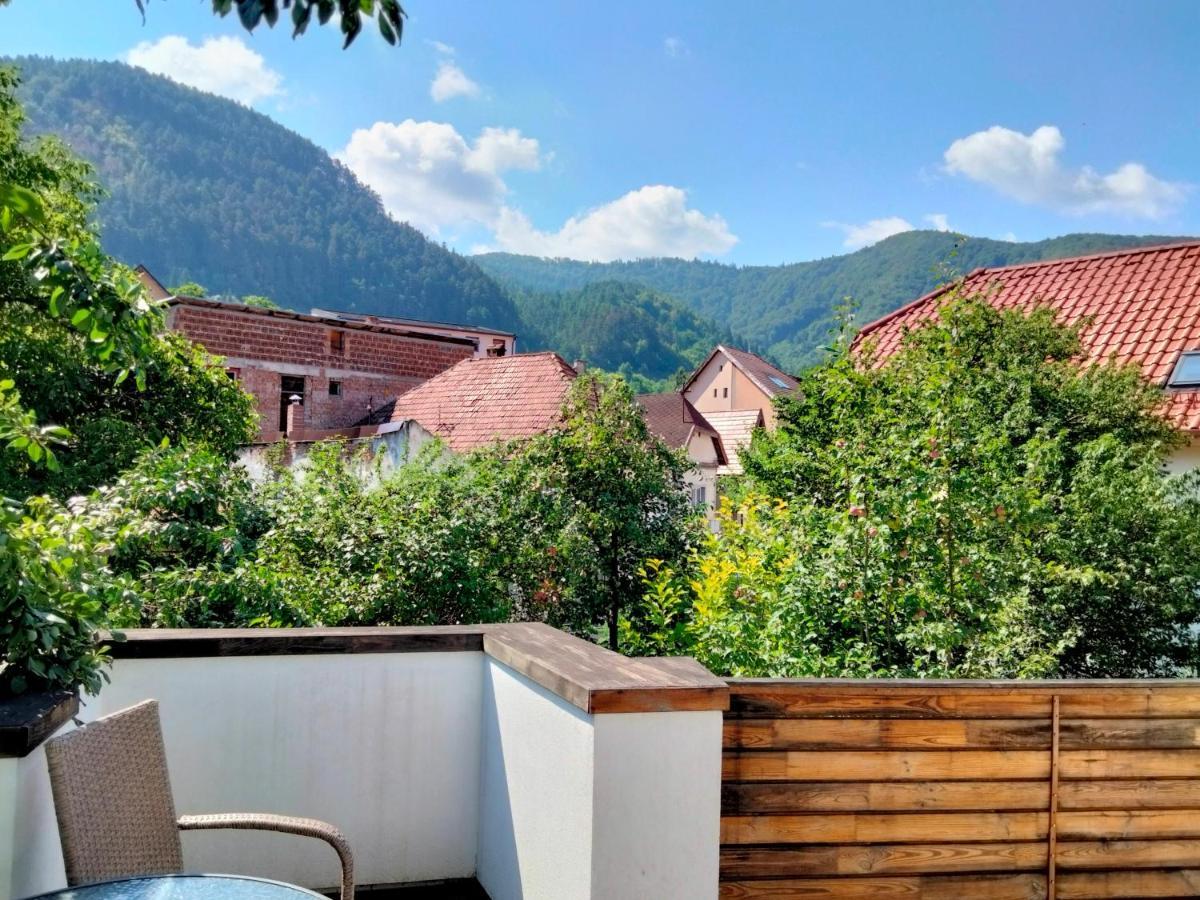 Casa Scheiana Bed and Breakfast Braşov Buitenkant foto