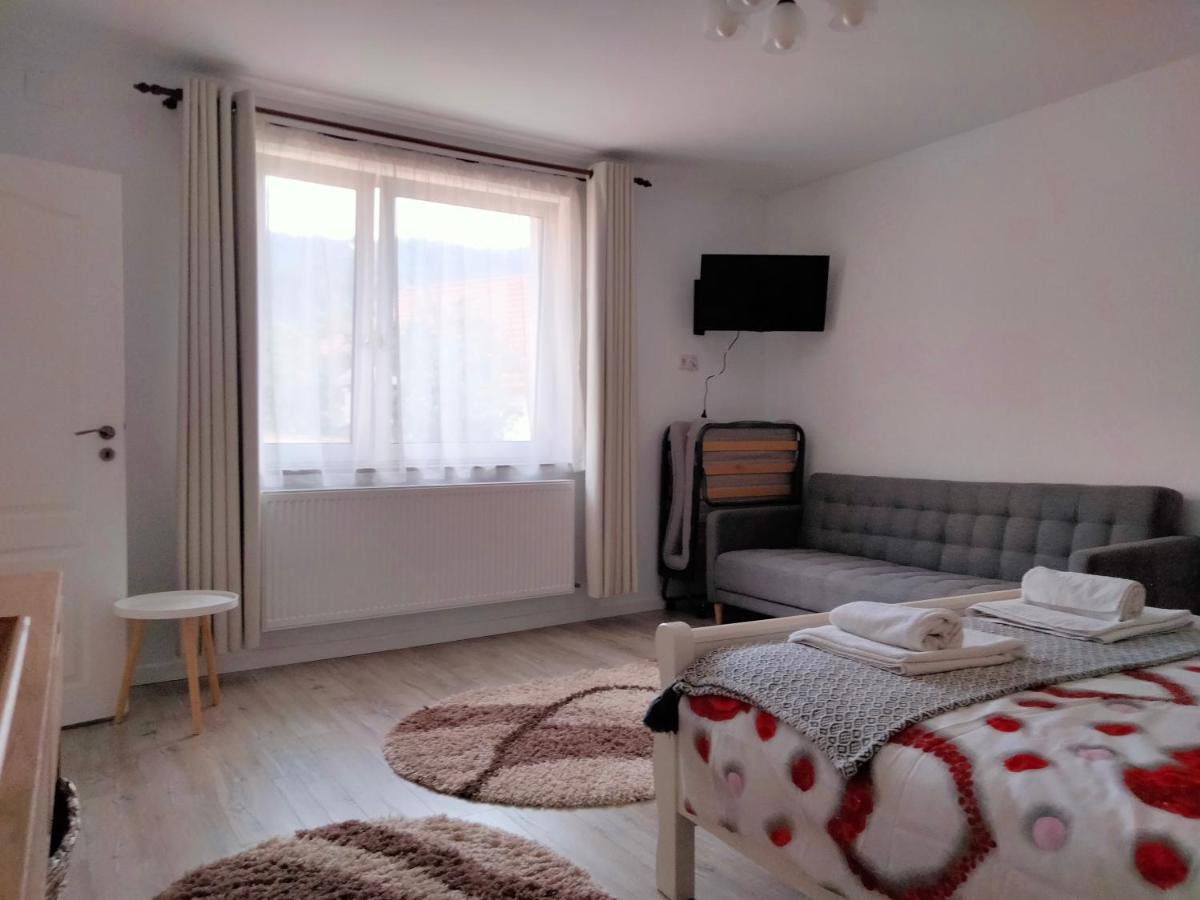 Casa Scheiana Bed and Breakfast Braşov Buitenkant foto